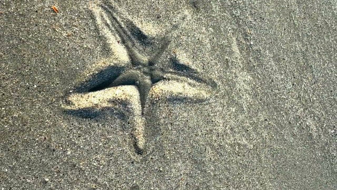 Khlong Dao Beach, Ko Lanta