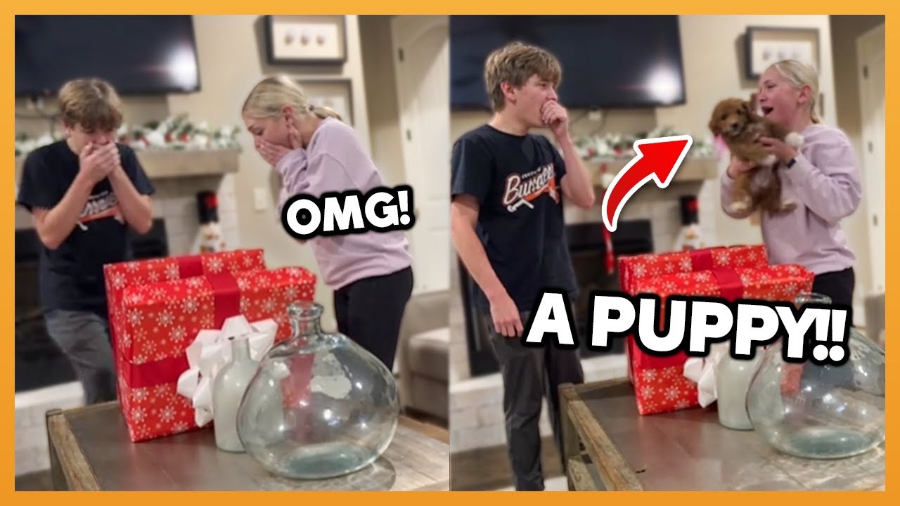 CHRISTMAS PUPPY SURPRISE COMPILATION 2025 !