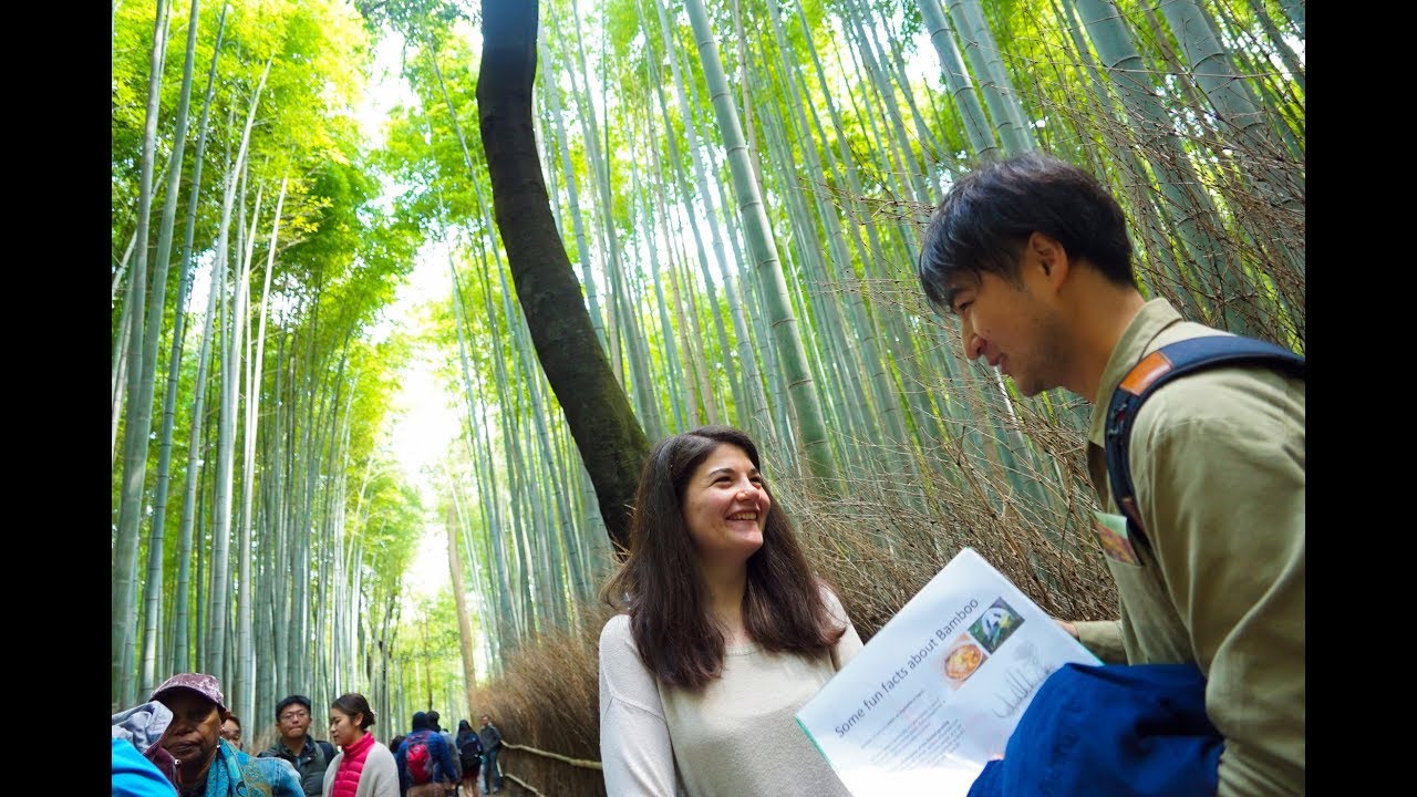 Kyoto Arashiyama Bamboo forest & Garden Walk Tour by MagicalTrip