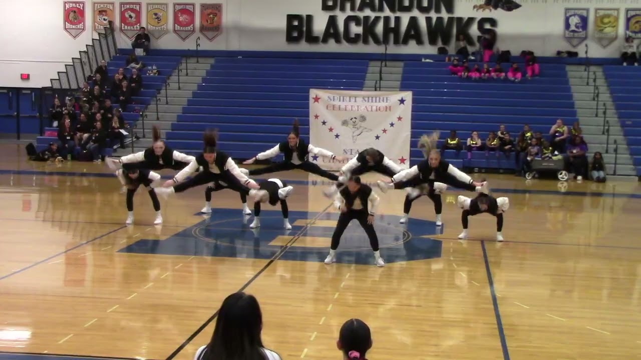 Lutheran Westland Dance Team State Spirit Shine Competition- Senior Misc. Dance