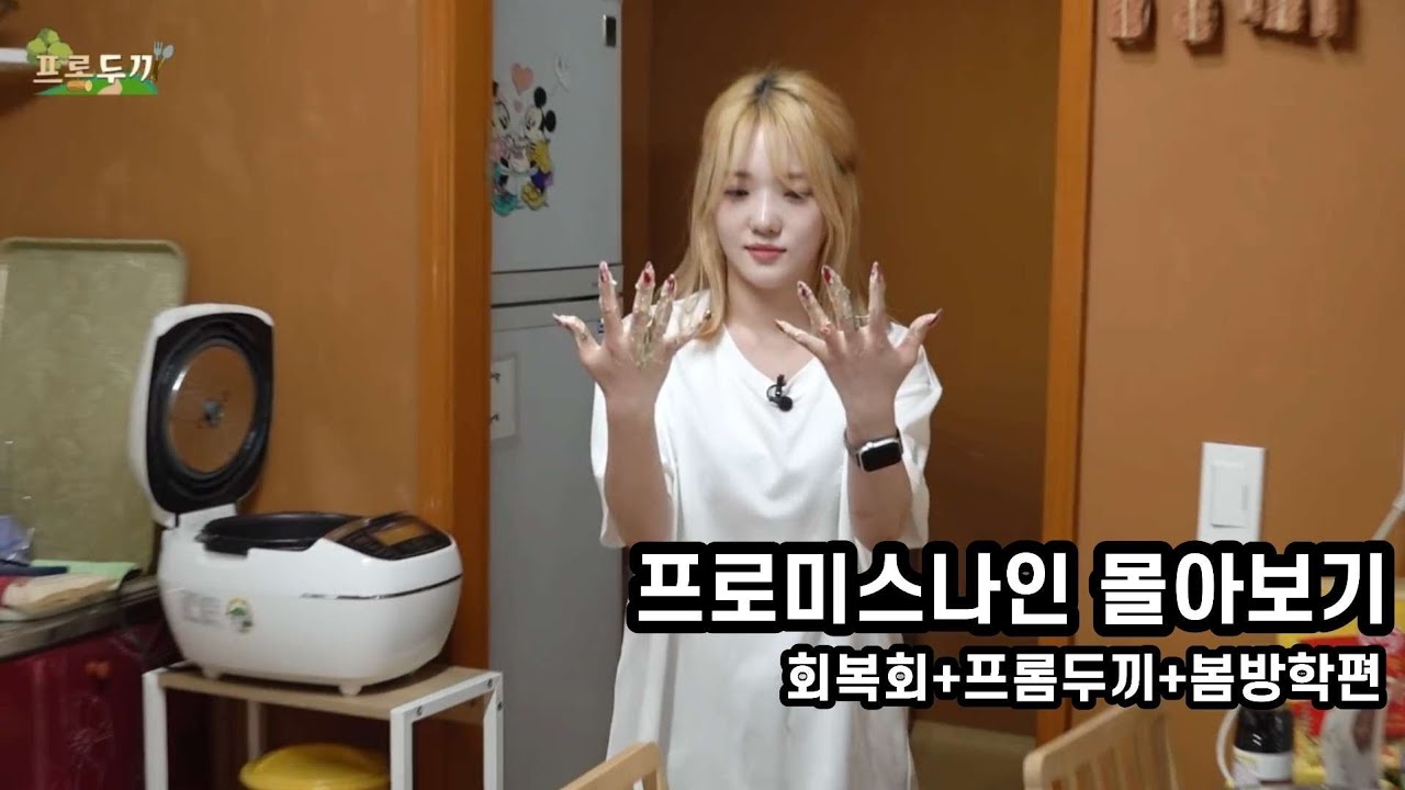 [프나몰] 회복회+프롬두끼+봄방학 몰아보기