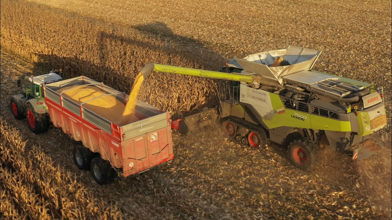 CLAAS 7500 TT au MAÏS avec son cueilleur CAPELLO 10 rangs  / MOISSON MAÏS 2021