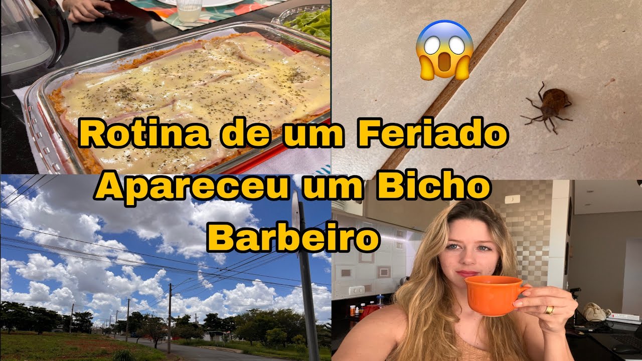 #Rotina, Arroz de forno, um dia de Feriado🌿