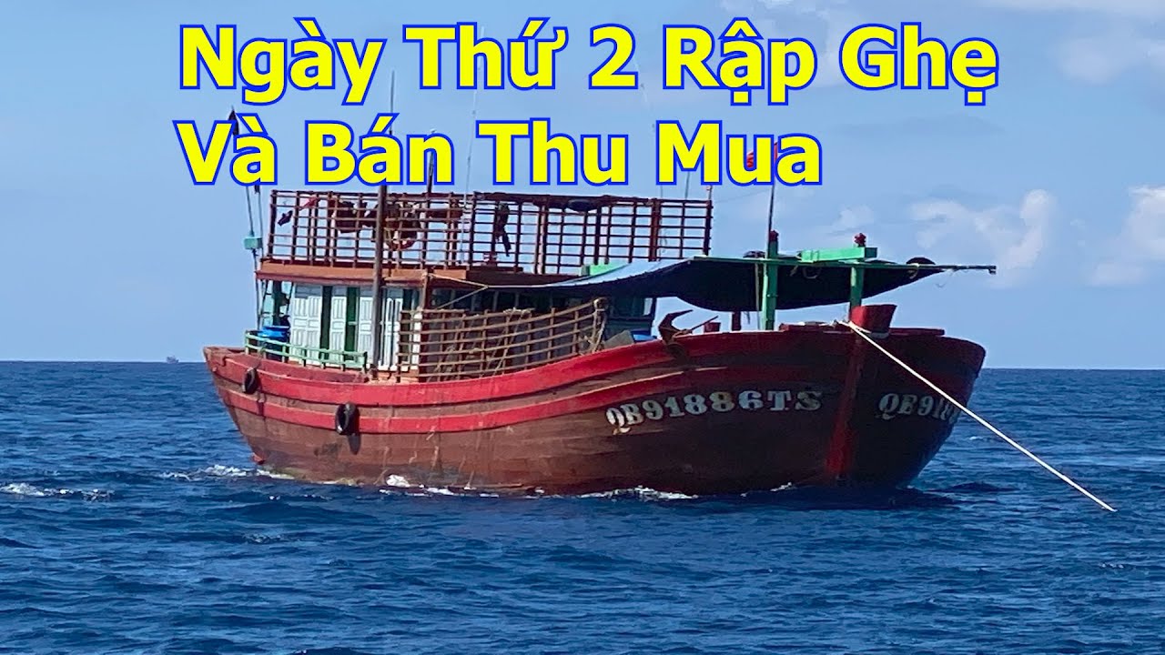 Ngày thứ 2 của Rập ghẹ QB 91886 TS Hồ Trung Hiếu và bán cho thu mua - Dân Biển