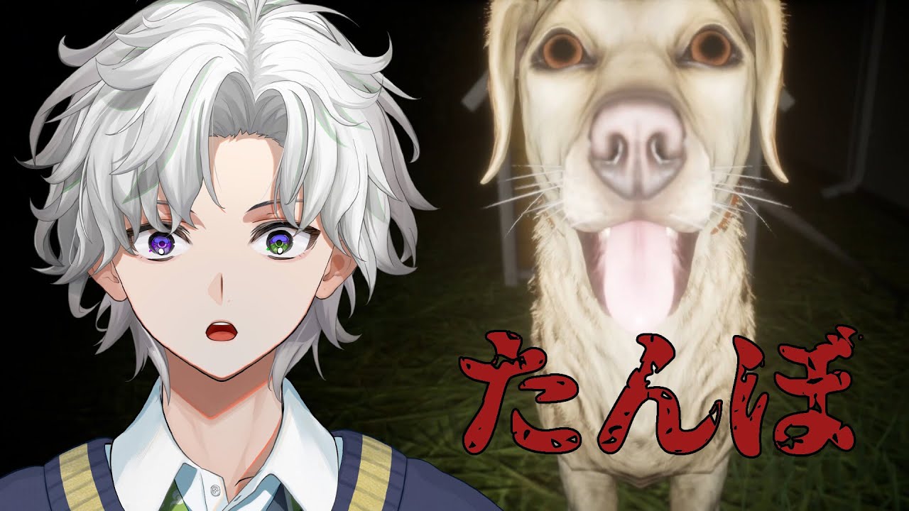 【たんぼ】犬と散歩しちゃっていいんですか？！【叢雲カゲツ/にじさんじ】