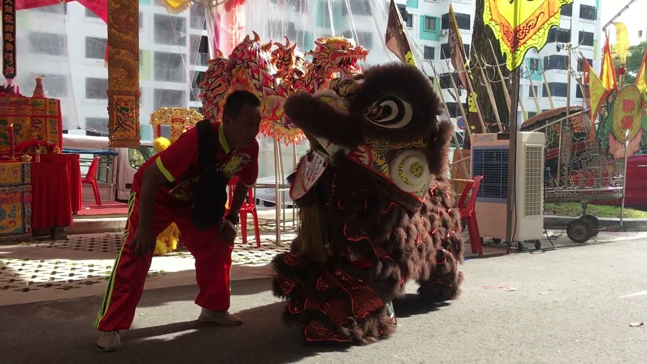 聯優龍獅學院 Lian Yew Lion Dance Cai Qing Performance at Lian Yew Da Mo Yuan 28 Oct 2022