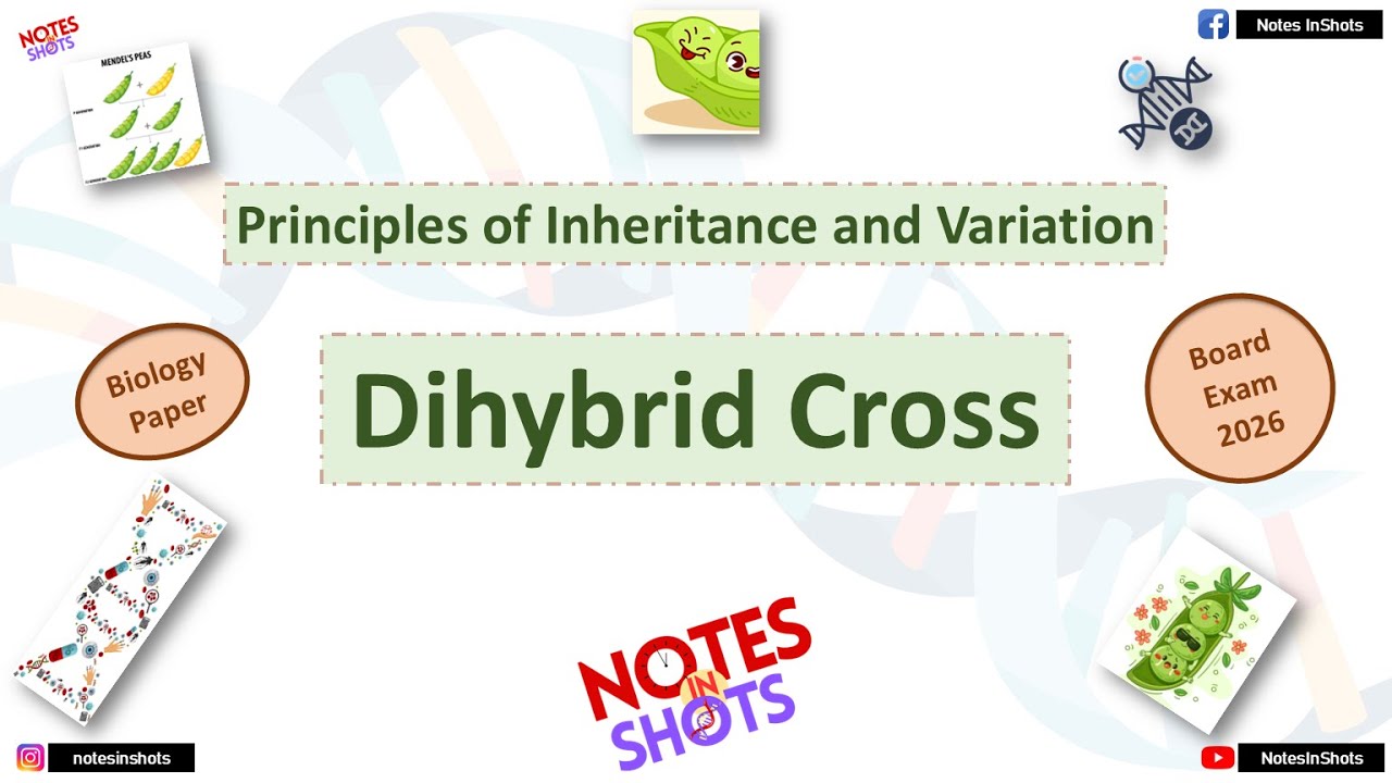 Dihybrid Cross | Principles of Inheritance and Variation 🧬@NotesInShots  #class12 #biology #neet