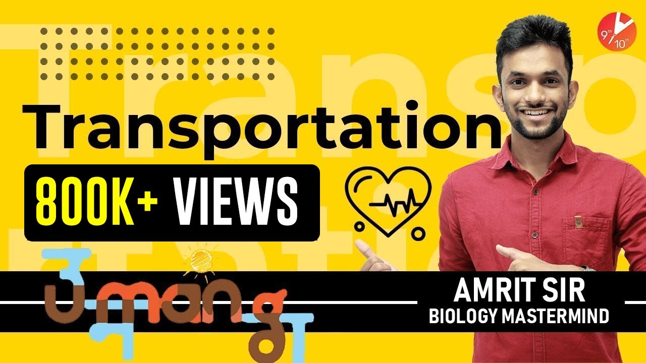 Life Processes CBSE Class 10 | Transportation - Part 1 | Biology | Board Exam Preparation | Vedantu