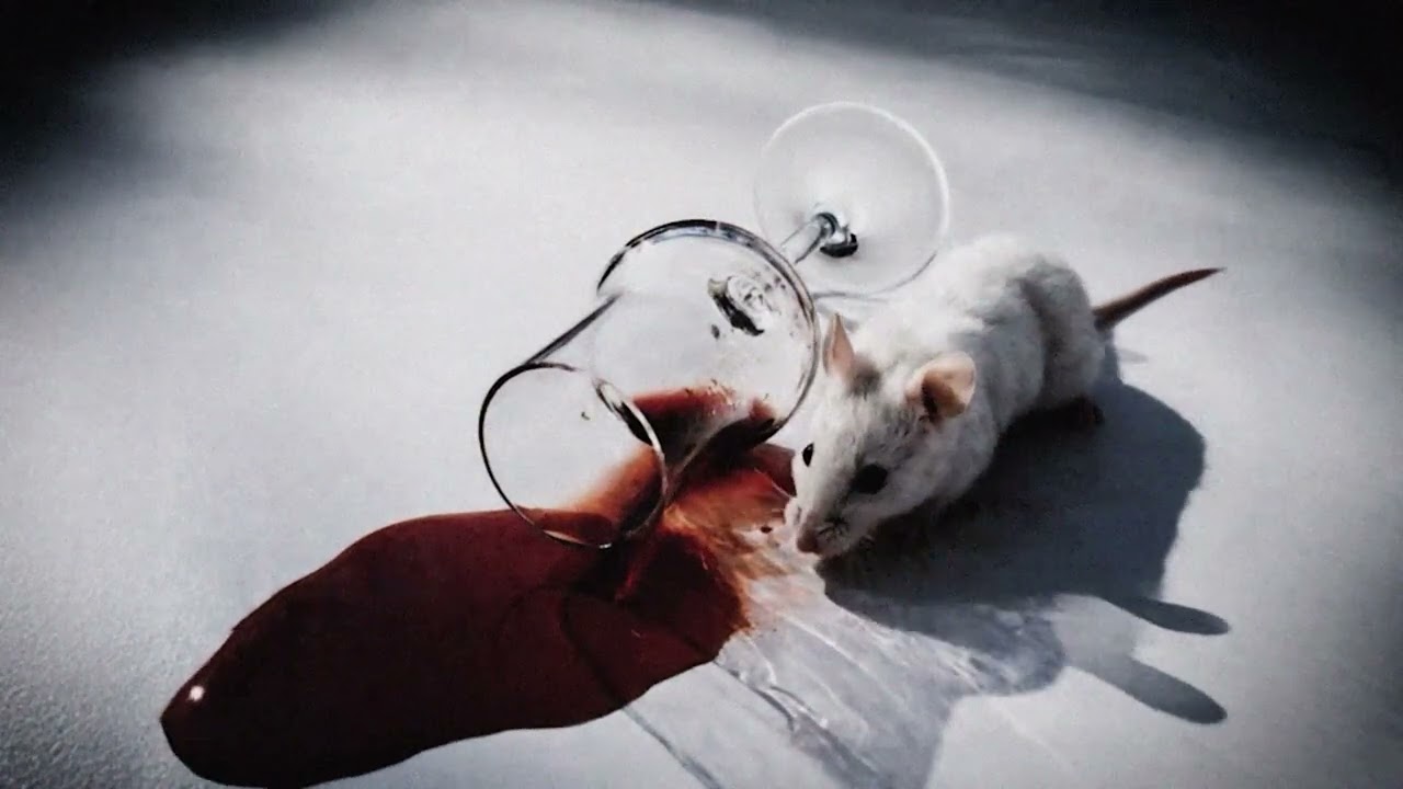 SCAGLIE D'AMETISTA (Official Visual Video)