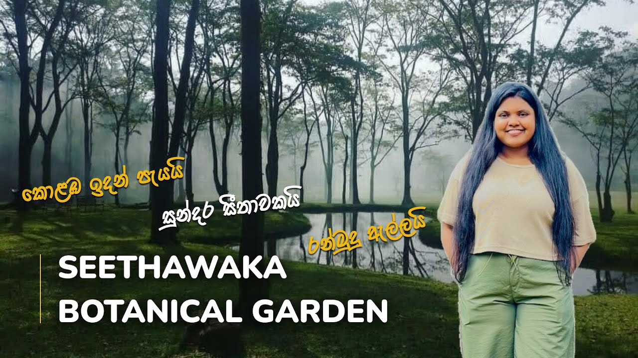 Seethawaka Wet Zone Botanical Garden (Avissawella) - කොළඹ ඉදන් පැයයි | රන්මුදු ඇල්ලයි (Ranmudu Ella)