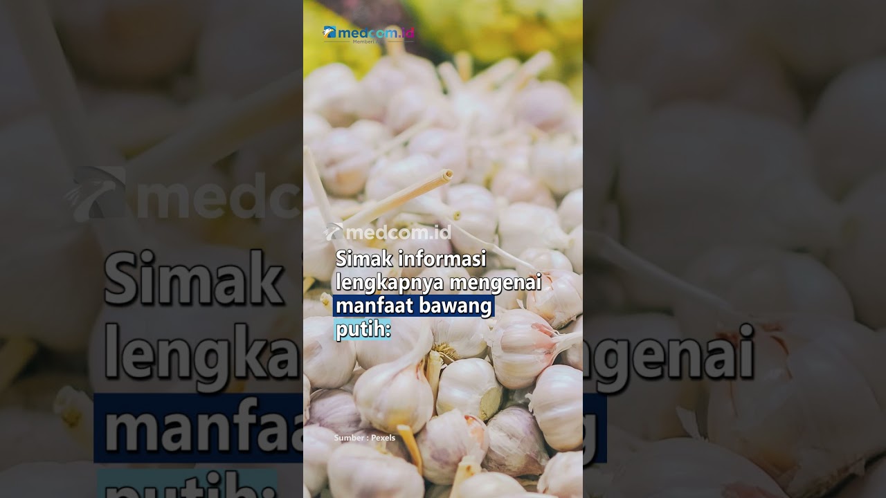 MANFAAT BAWANG PUTIH UNTUK KESEHATAN DAN CARA MENGKONSUMSINYA