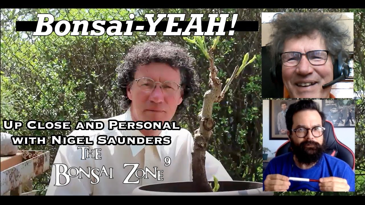 Nigel Saunders, Up Close and Personal - Bonsai-YEAH!