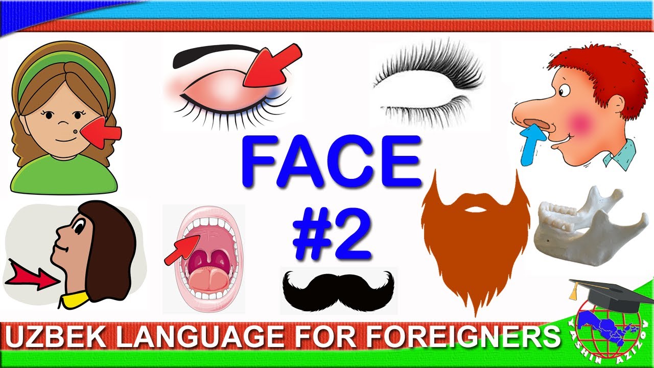 1.5. Parts of the FACE in Uzbek (part 2). Remember parts of the face in Uzbek