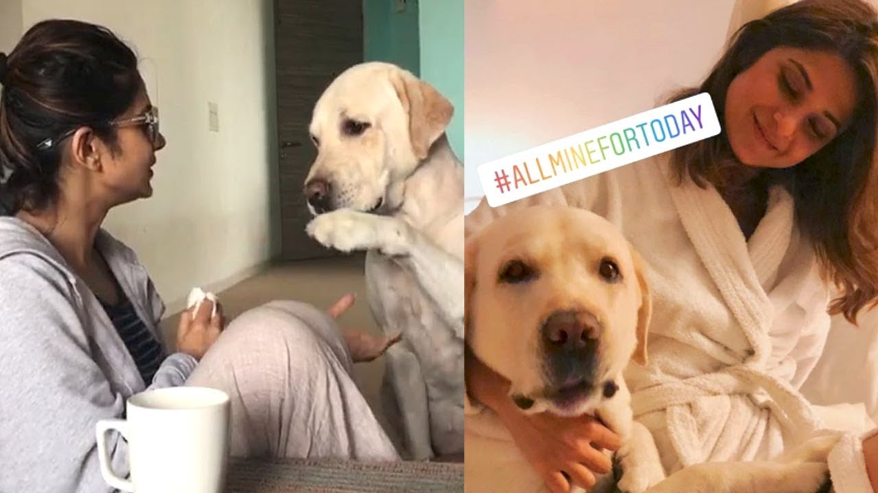 Jennifer Winget CUTE Moments Playing with DOGS | Bepannah