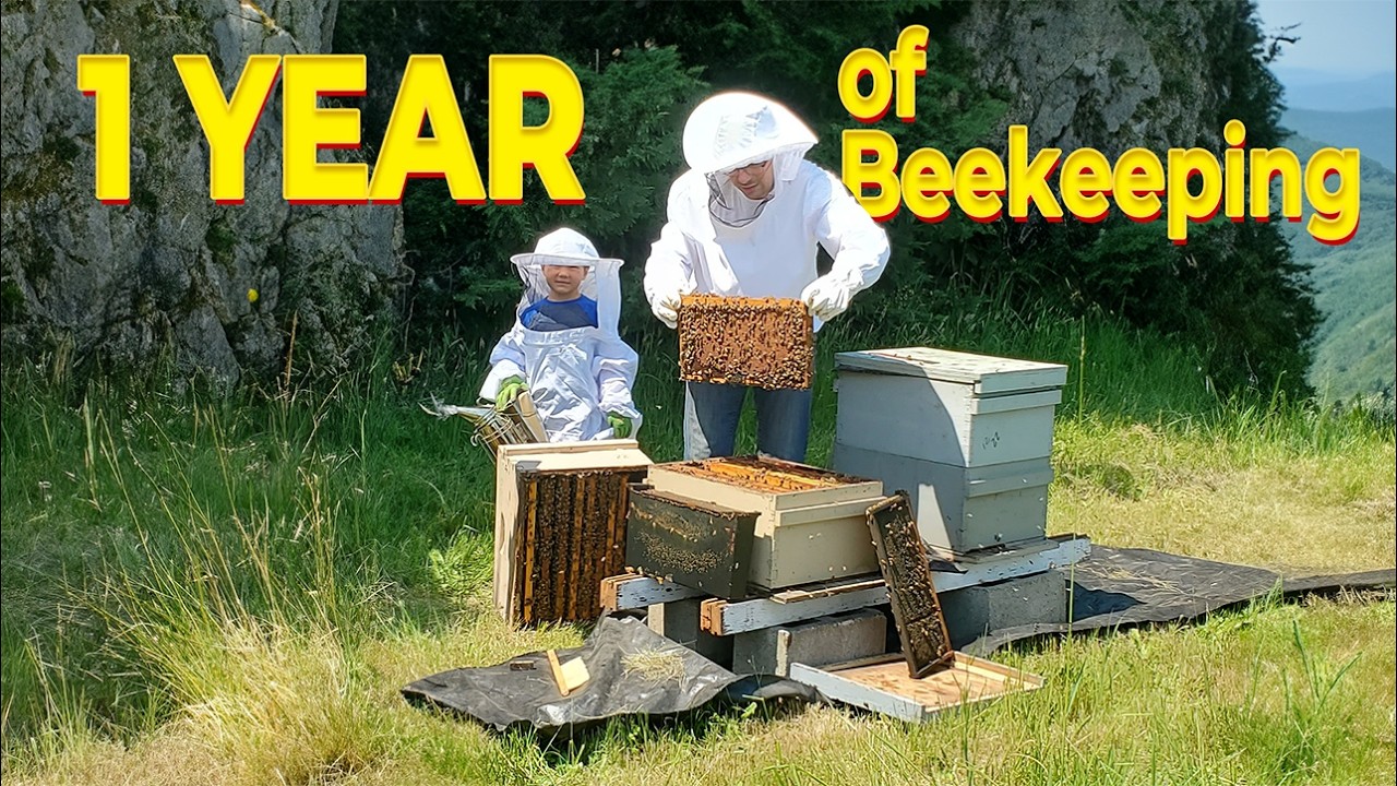 Мой первый год пчеловодческого бизнеса — был ли он прибыльным? 🐝💰
