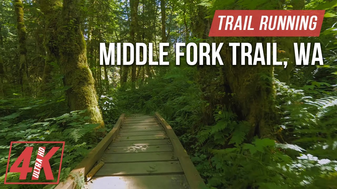 Trail Running along Middle Fork Trail - 4K Virtual Forest Run for Treadmill Workout (Nature Sounds)