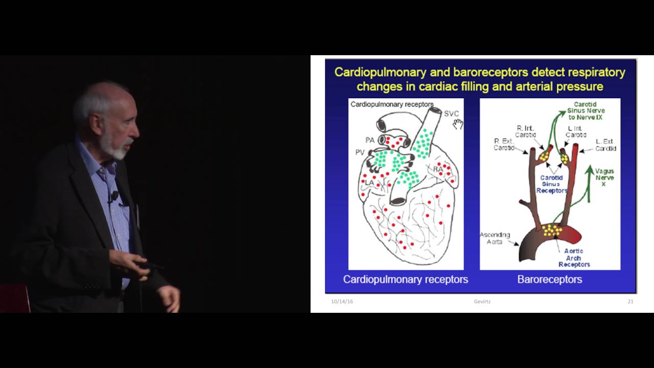 The Secrets the Heart Keeps, and other Lessons of Heart Rate Variability with Dr. Richard Gervitz