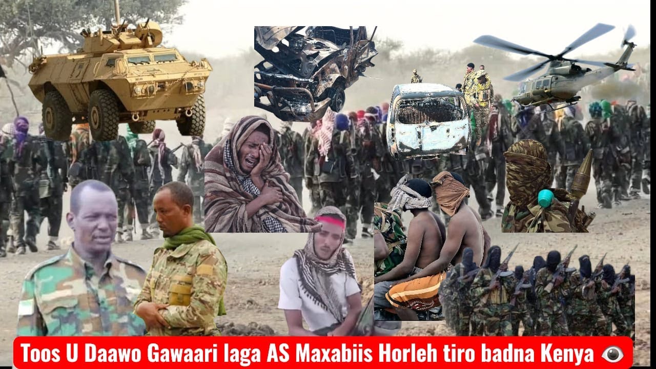 Toos u Daawo Dimashada Kooxda As  Toogasho Toos Cadeen rasmi meedka, Waa Jabeen Kooxda Firxadkooda.