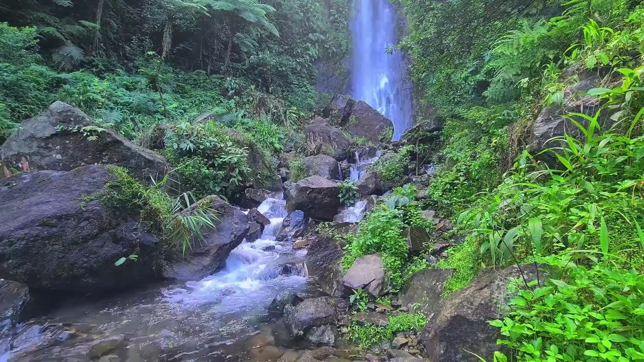 Peaceful River Soundscape | Relaxing Water Flow for Deep Sleep and Inner Calm