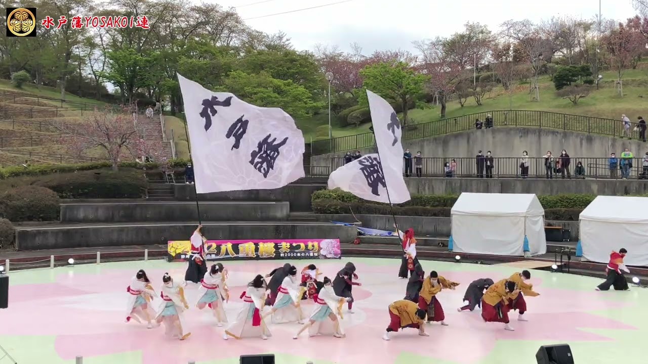 【新作披露】水戸藩YOSAKOI連「決戦」★2022八重桜まつり/静峰ふるさと公園/2022.04.17