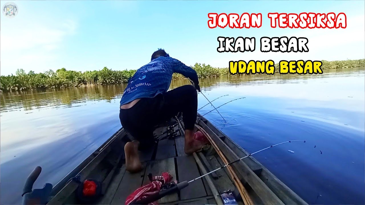 Kasar Tarikan Nya‼️Mancing Udang Galah Di Sungai Tanjung Pelanduk 