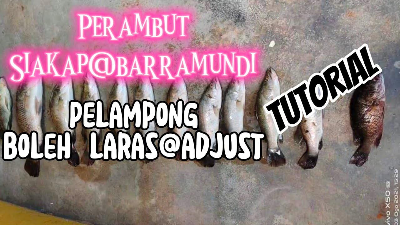 Perambut pelampong Siakap@Barramundi.pelampong boleh laras@adjust.