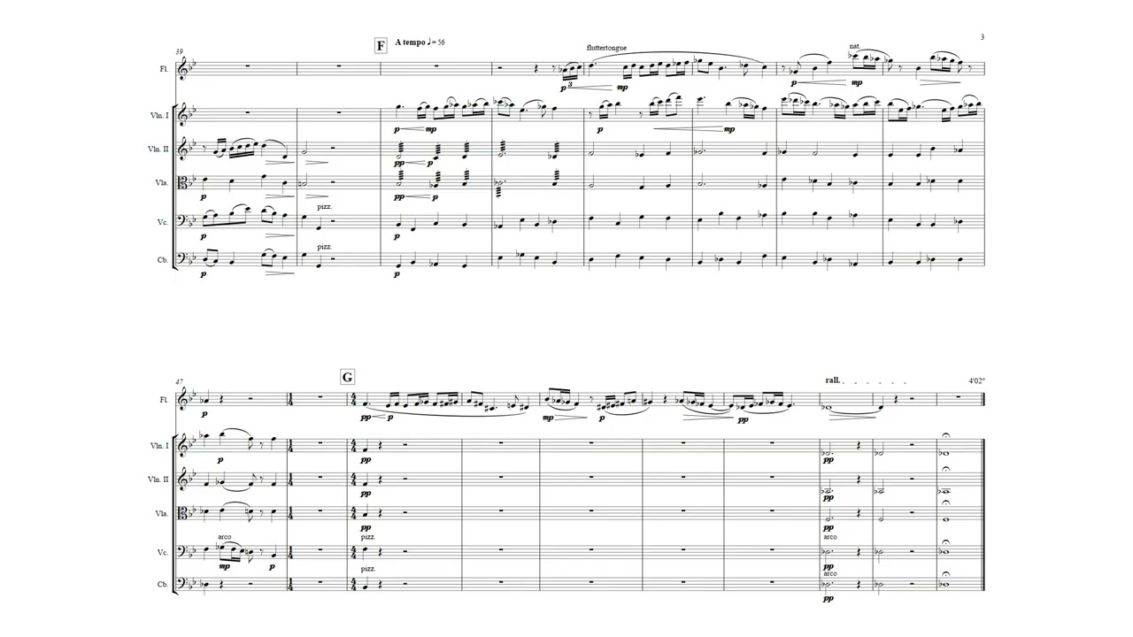 Van Hoorick - Flute Concerto No. 1 (but too much reverb)