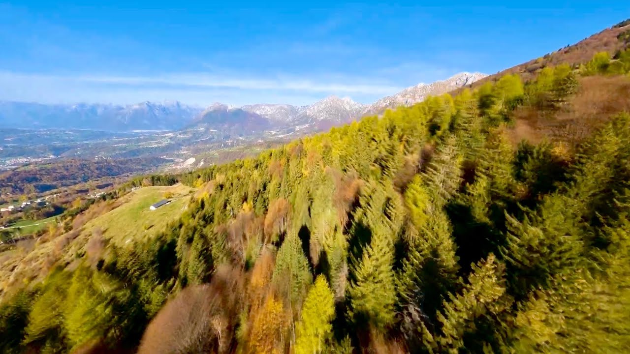 Alpago: montagna, foresta ed altopiano.