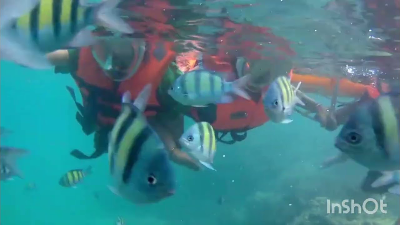 Elephant beach Havelock Andaman Best snorkeling views