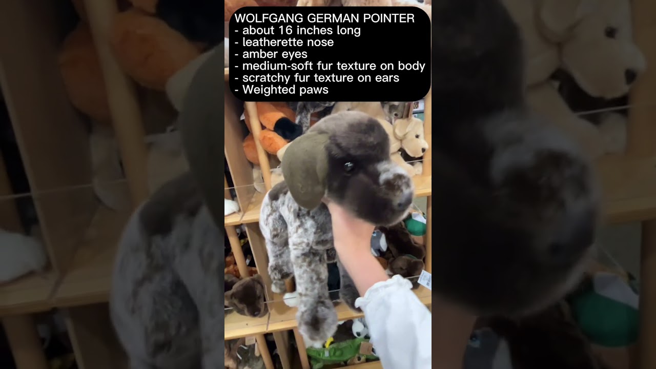 Douglas dogs are CHEAP at Bass Pro Shop #essa #puppy #bassproshop #douglasdog
