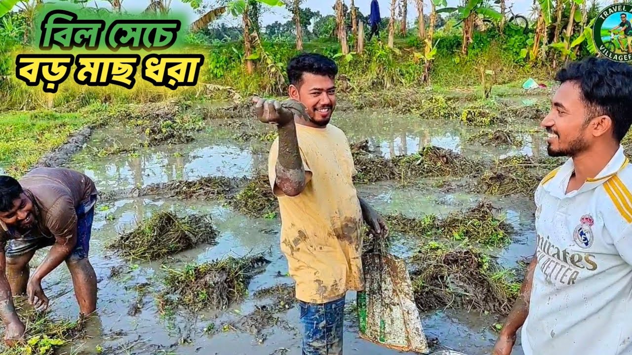 বিল সেচে বন্ধুরা মিলে মাছ ধরা ।। প্রচুর শোল,মাগুর,কই ও টাকি মাছ পেলাম।।গ্রামীণ মাছ ধরার ভিডিও ২০২৫