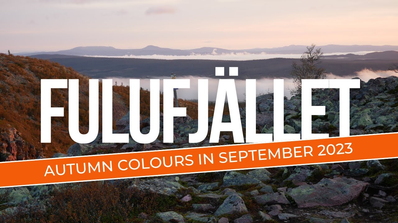 Fulufjället – Misty mountain in Dalarna Sweden [4K]