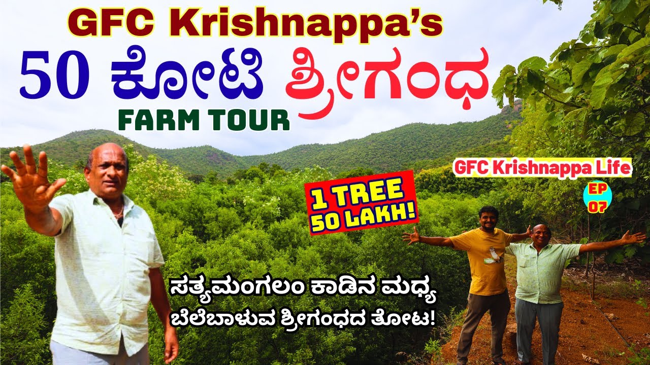 50 Crore SANDALWOOD FARM-