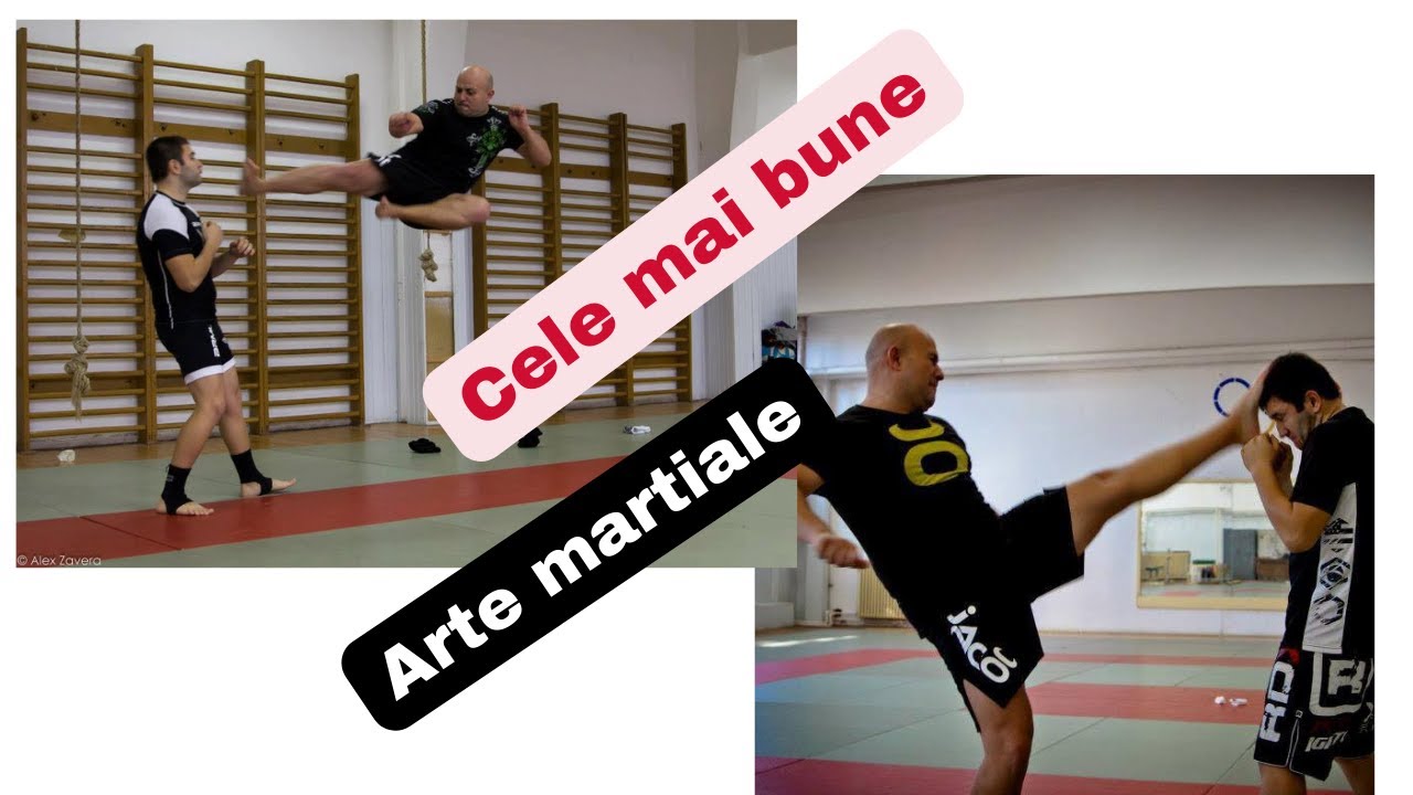 Care sunt cele mai bune arte martiale?