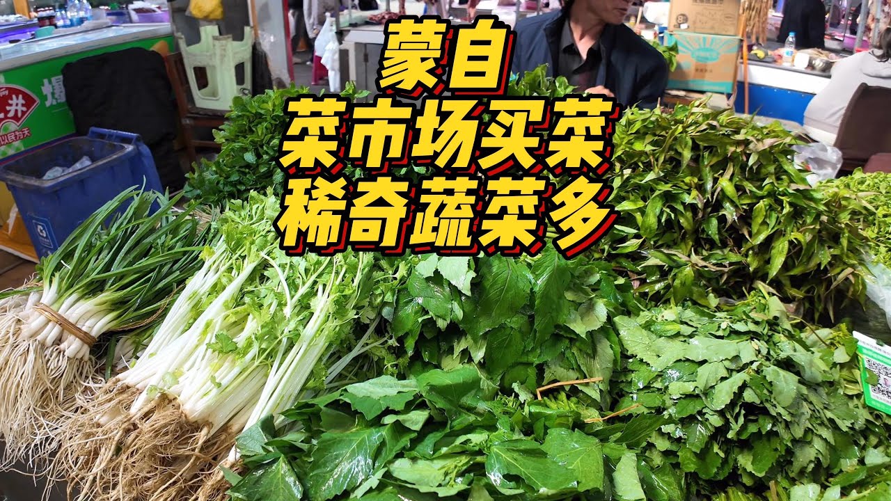 云南蒙自|横跨三个菜市场！买了一堆稀奇的蔬菜！没想到味道都不错！