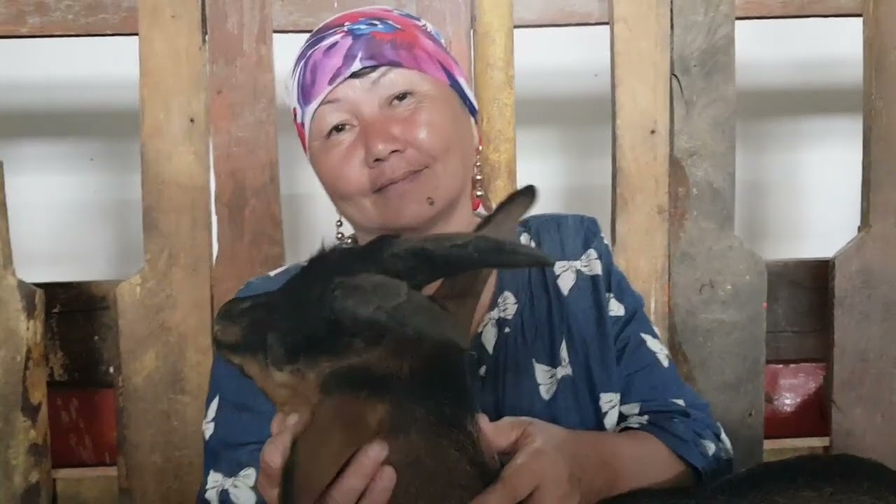 Советы опытных козоводов. Лаззат, Кызылорда. Шиели. +77017224679 Анвар Рустемов.