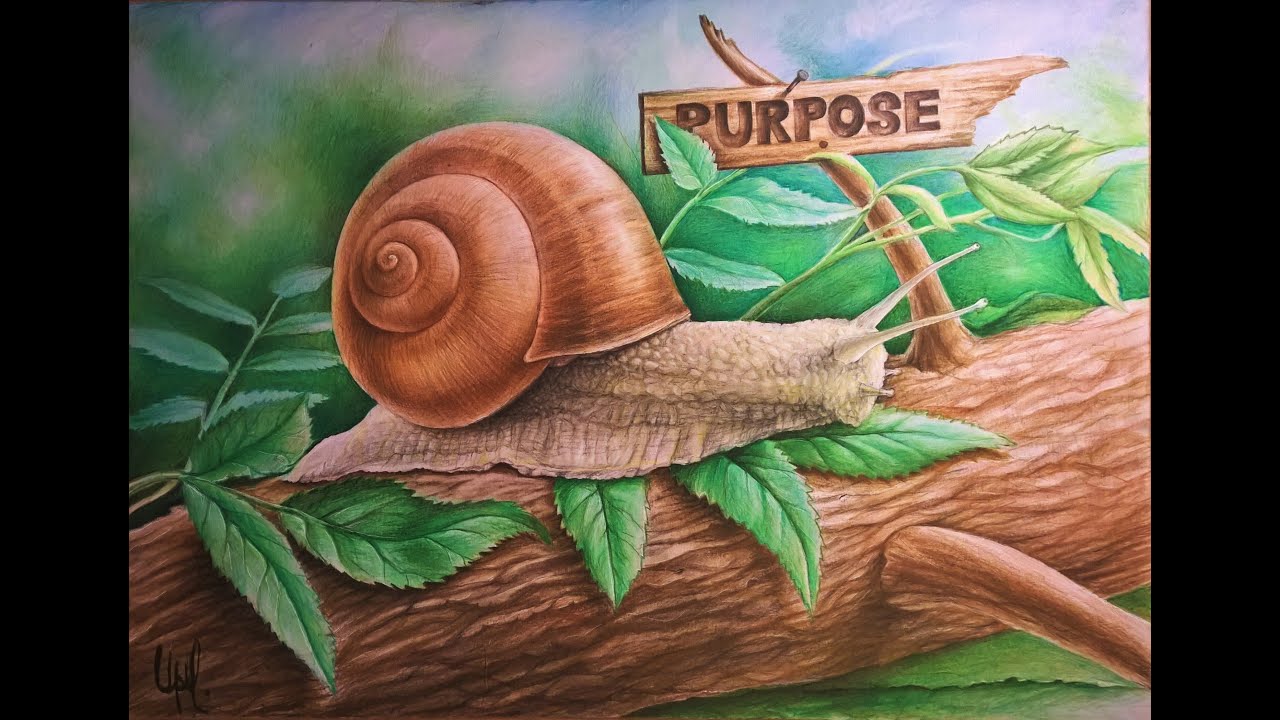 Speed Drawing Purpose Path