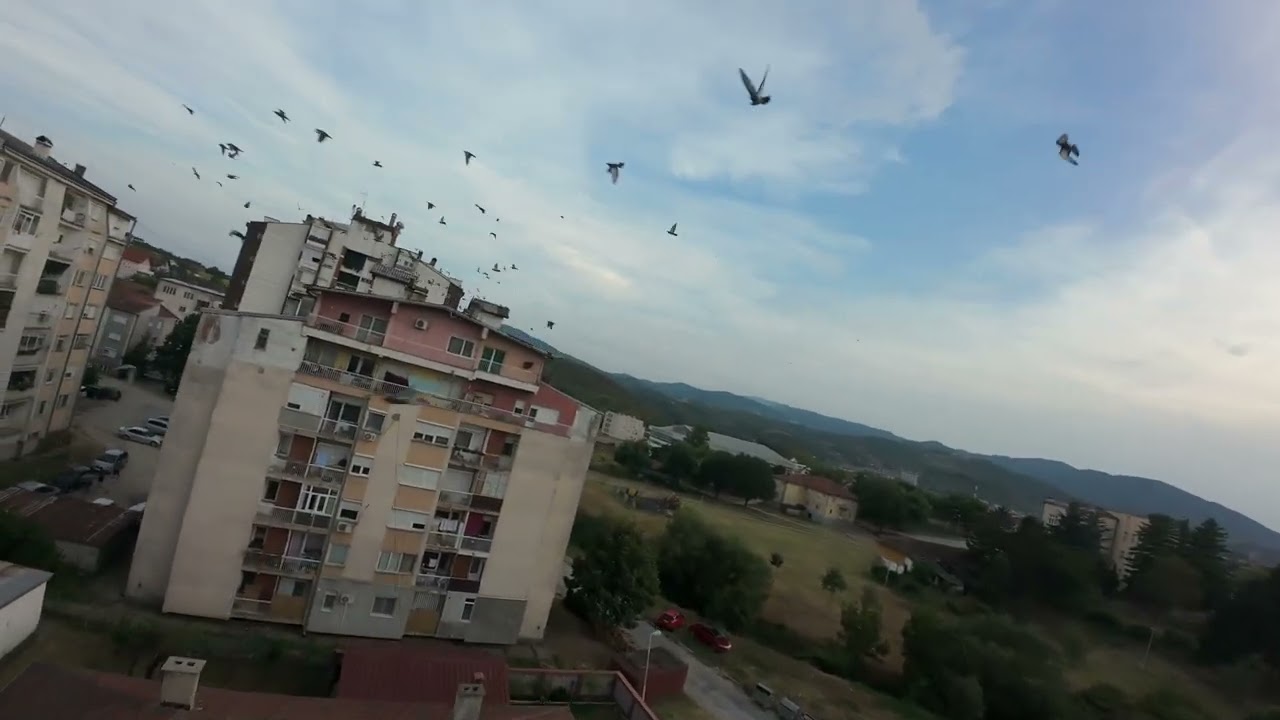 Prokuplje Avata 2