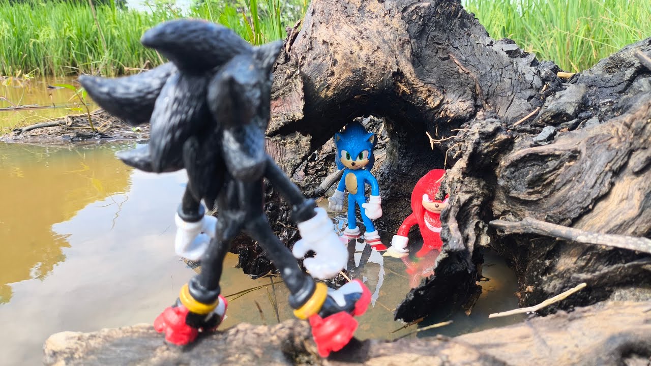 Sonic Hedgehog, Sonic Shadow, Knuckles, Tails, Metal Sonic, Super Sonic, Metal Sonic, Super Shadow