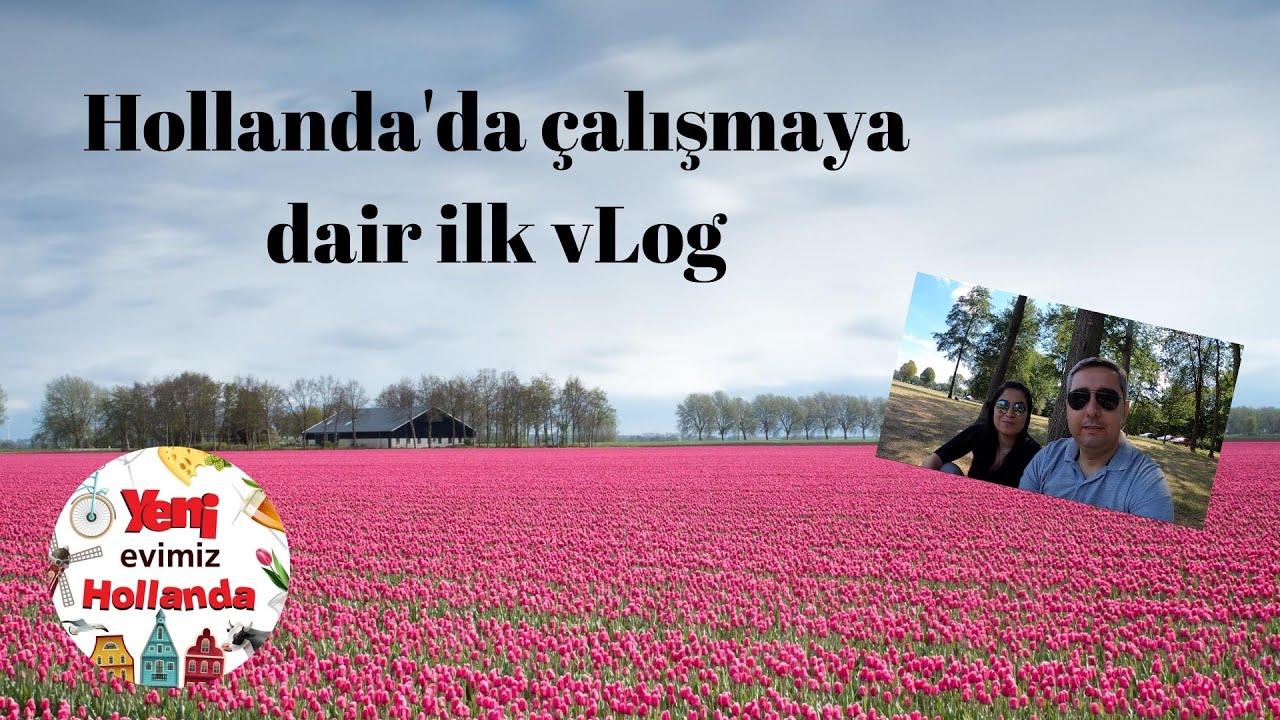 Hollanda'da çalışma! - Diploma denkliği, Blue card ve IND ile ilgili bilgiler.
