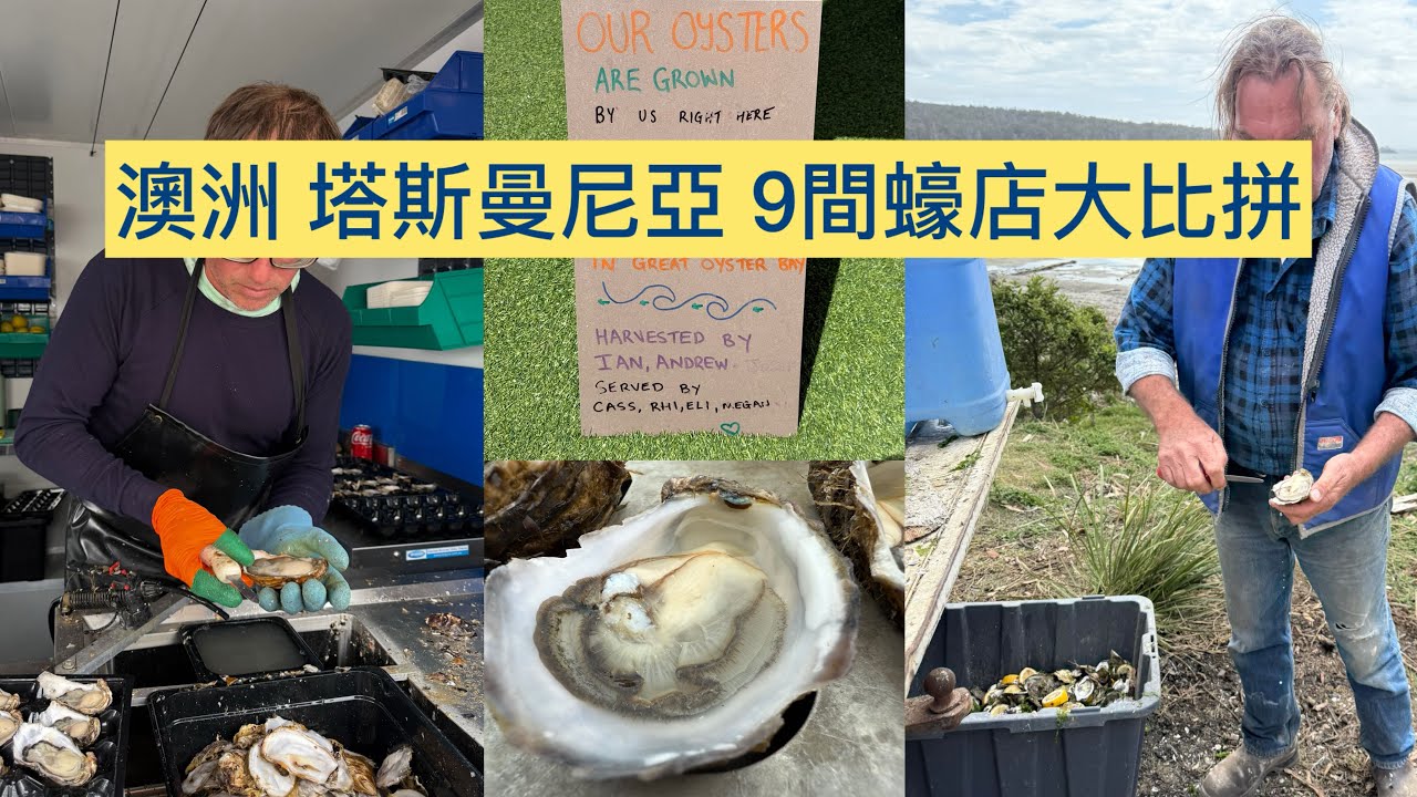 澳洲塔斯曼尼亞9間蠔店大比拼@小太熊