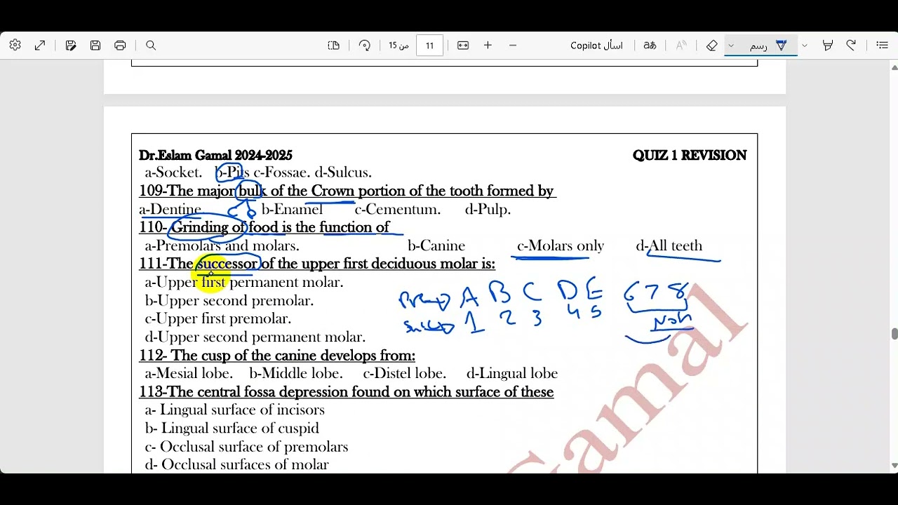 🦷 Dental Anatomy Intro | Practice Questions  📝