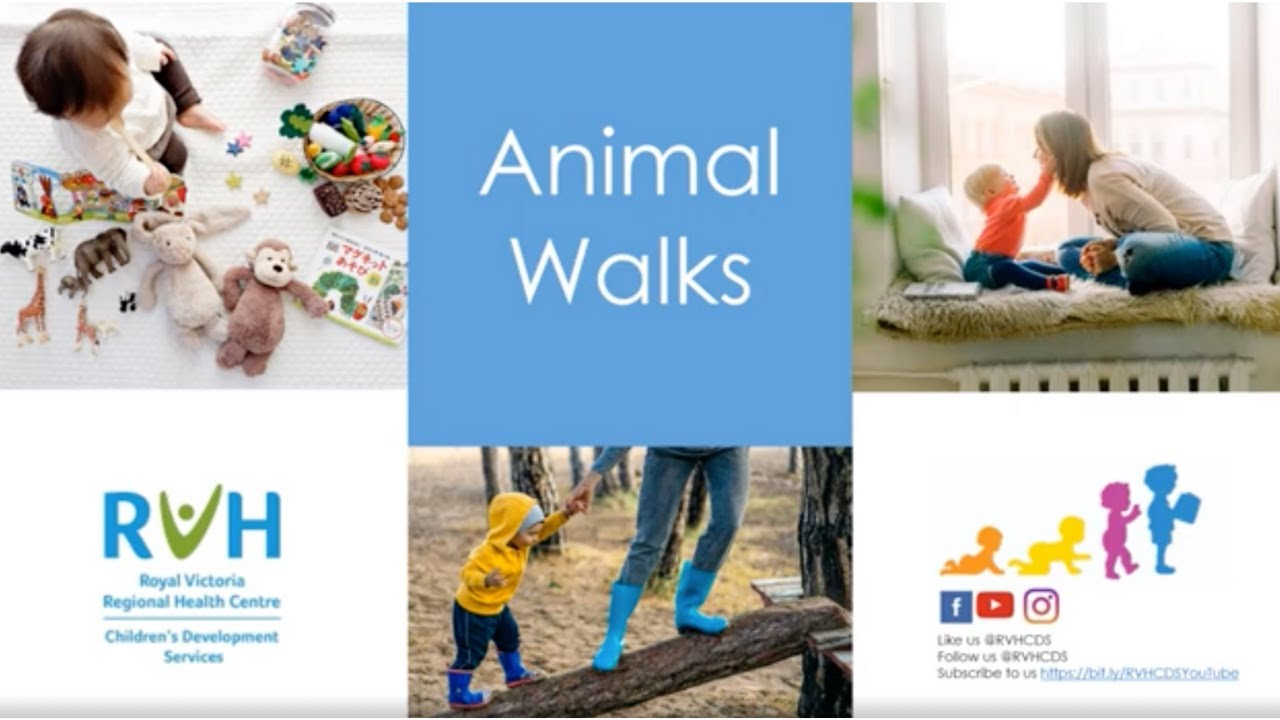 Animal Walks