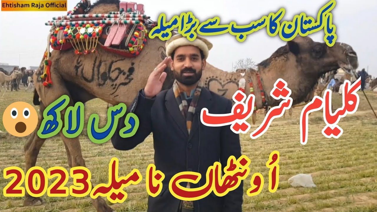Kalyam Sharif Mela 2023 | Baba Fazal Shah Kalyami | عُرس مبارک بابا فضل شاہ کلیامی | Camel Mela 2023