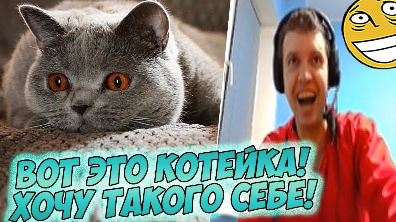 ПАПИЧ СМОТРИТ ОБОИ! КОТИК МИКРОЧЕЛИК!