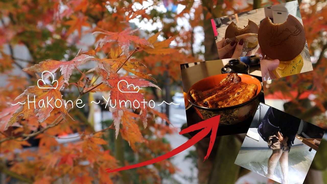 Amazing Fall Colors in Hakone! | Hakone, Japan | Food tour, Room tour, Nature