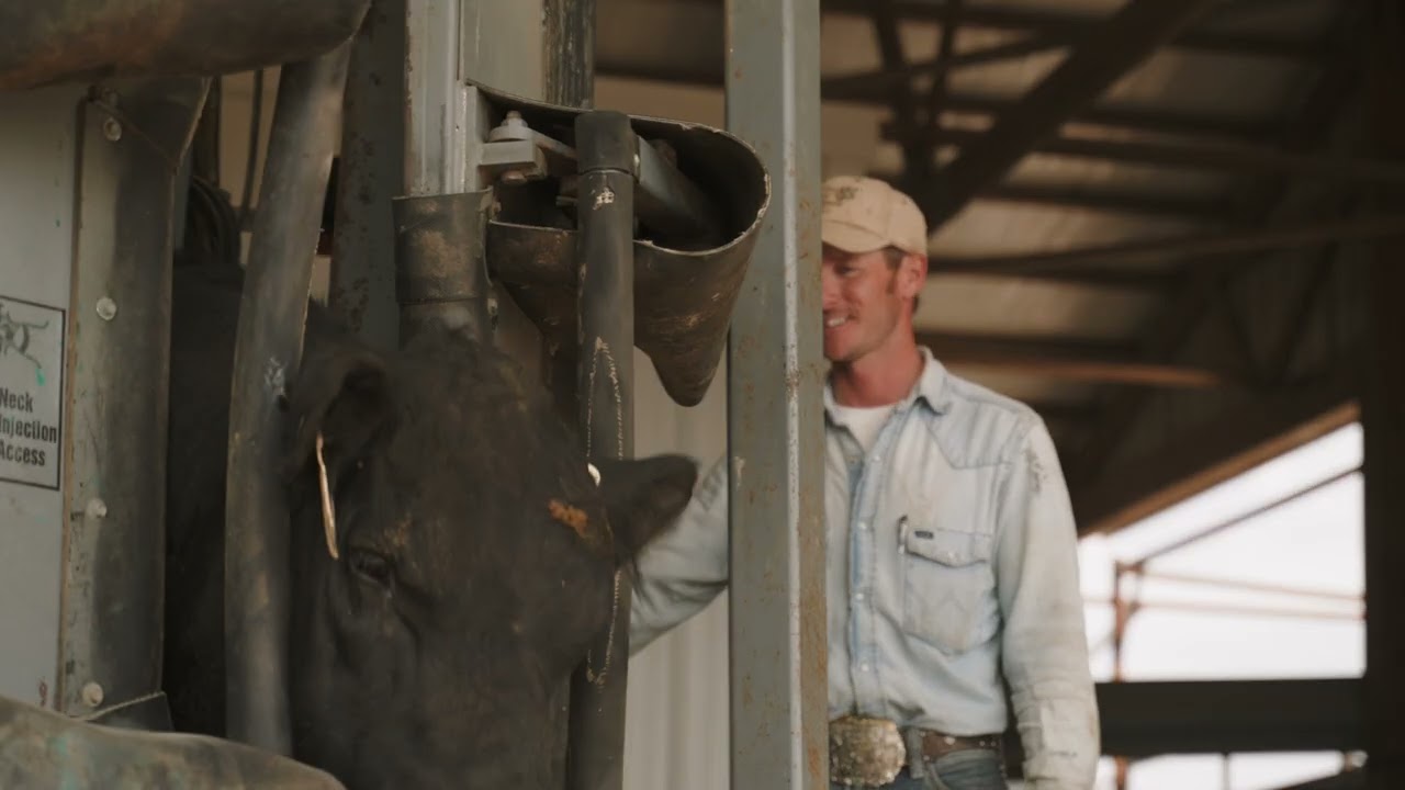 Customer Stories: Gallagher Animal Performance Technology for Breeding Success