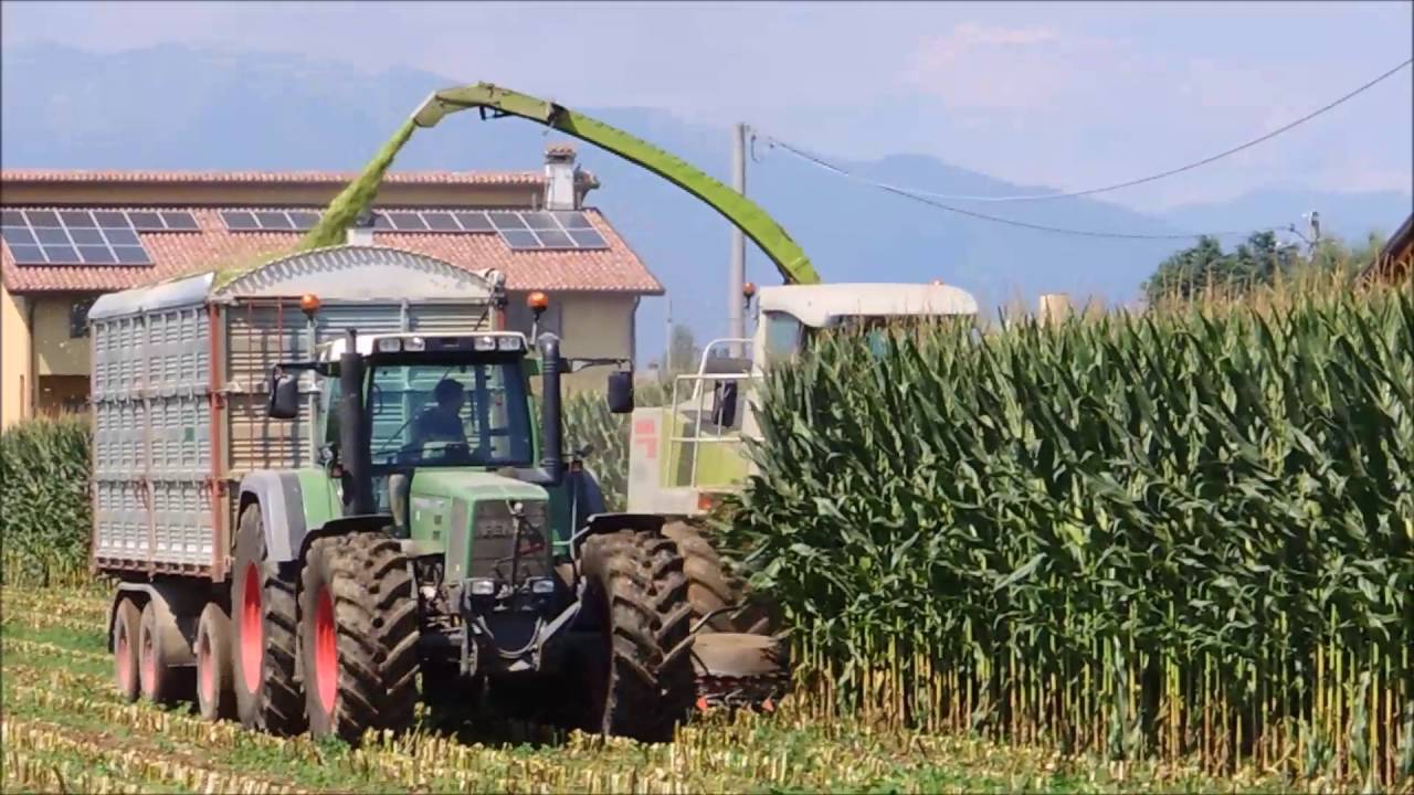 Claas Jaguar 860 | TARARAN & STRADIOTTO