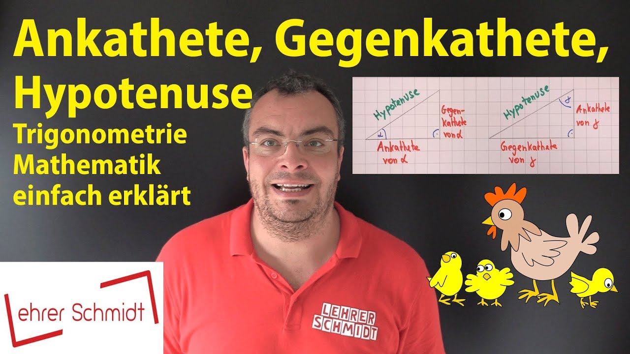Ankathete - Gegenkathete - Hypotenuse - so geht das! (sin, cos, tan..) | Lehrerschmidt