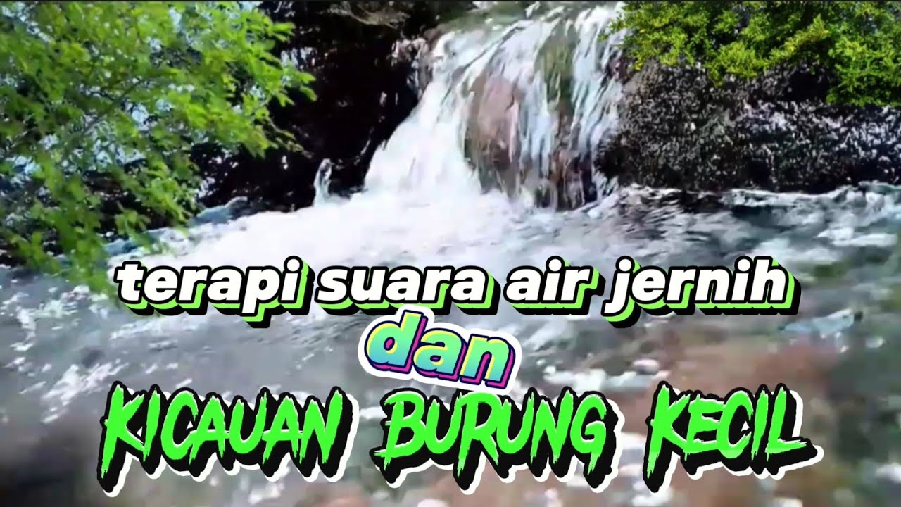 Terapi suara air mengalir jernih dengan kicauan burung kecil